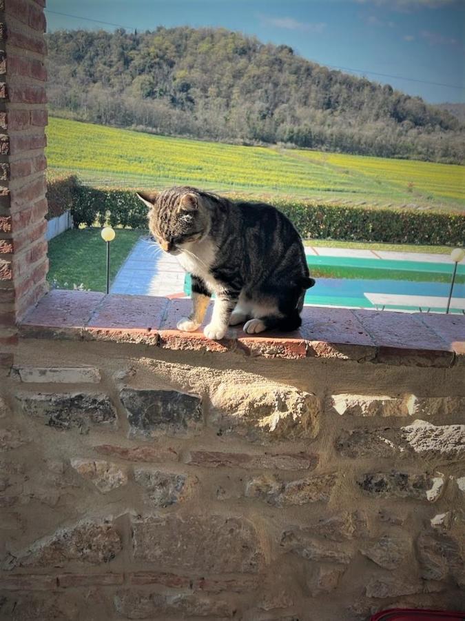 Podere La Selva Раполано Терме Екстериор снимка