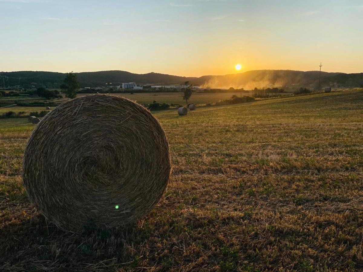Podere La Selva Раполано Терме Екстериор снимка
