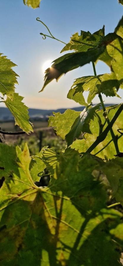 Podere La Selva Раполано Терме Екстериор снимка
