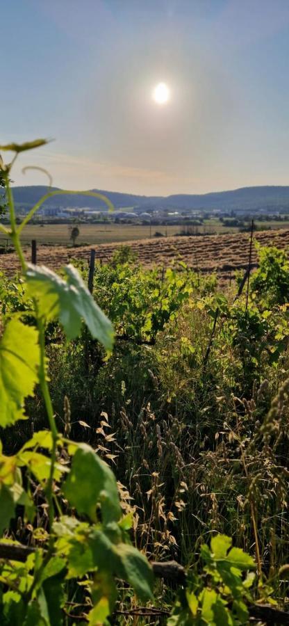 Podere La Selva Раполано Терме Екстериор снимка