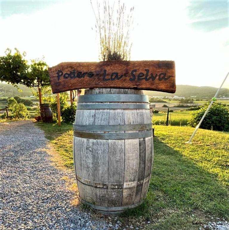 Podere La Selva Раполано Терме Екстериор снимка