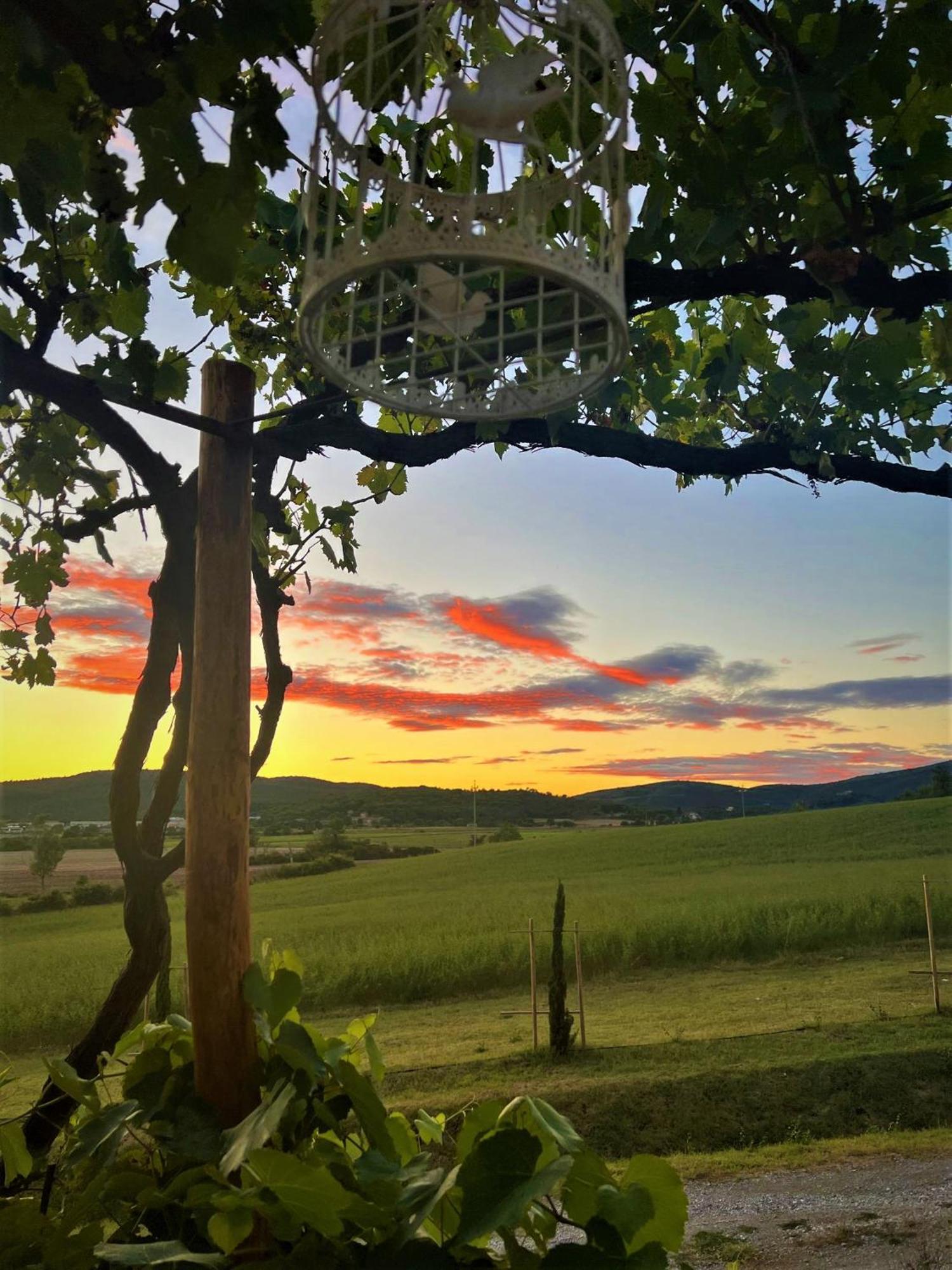 Podere La Selva Раполано Терме Екстериор снимка